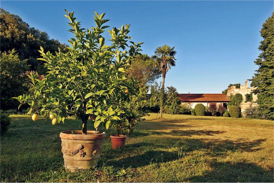 Fattoria Agriturismo Bigongiari ルッカ エクステリア 写真